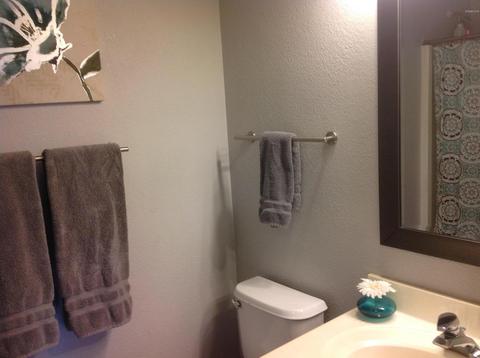 845 W Park Ave, Gilbert, AZ 85233 photo 18