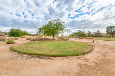 2509 E Darrel Rd, Phoenix, AZ 85042 photo 52