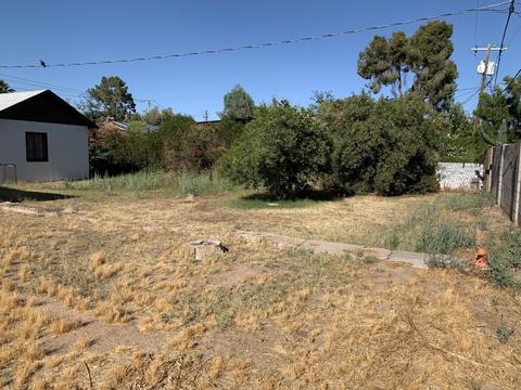 1017 E Meadowbrook Ave, Phoenix, AZ 85014 photo 7