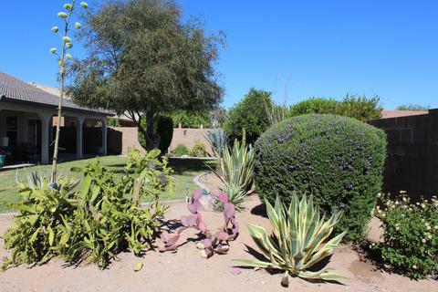 11325 E Adobe Rd, Mesa, AZ 85207 photo 47