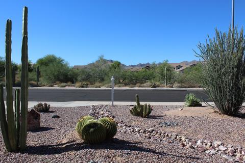11325 E Adobe Rd, Mesa, AZ 85207 photo 5