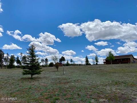 2241 Bear Claw Dr #19, Overgaard, AZ 85933