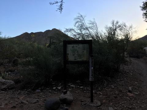 4650 E Mountain View Ct, Phoenix, AZ 85028 photo 52