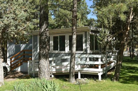 2047 Pinehaven Ln, Overgaard, AZ 85933 photo 1