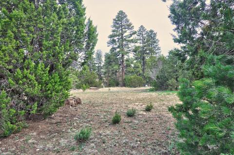 2012 Lexington --, Overgaard, AZ 85933 photo 16