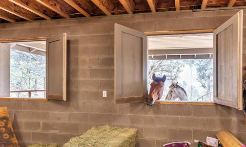 1411 E Graham Ranch Trl, Payson, AZ 85541 photo 50