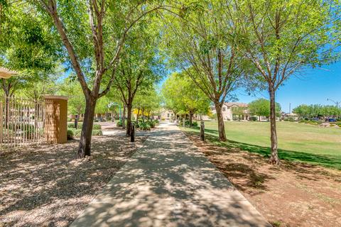 3040 E Patrick St, Gilbert, AZ 85295 photo 110