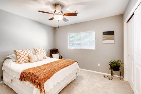 906 E Gwen St, Phoenix, AZ 85042 photo 16