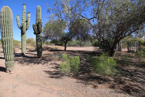 7005 E Halifax Dr, Mesa, AZ 85207 photo 64