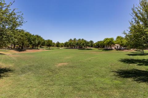 3464 E Orchid Ln, Gilbert, AZ 85296 photo 31