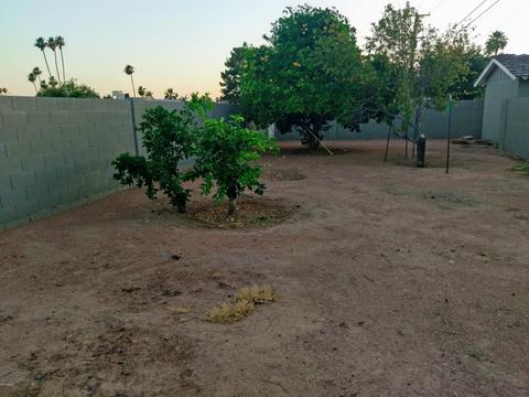 Undisclosed, Tempe, AZ 85282 photo 5