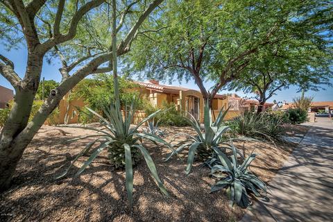 807 E Waltann Ln, Phoenix, AZ 85022 photo 3