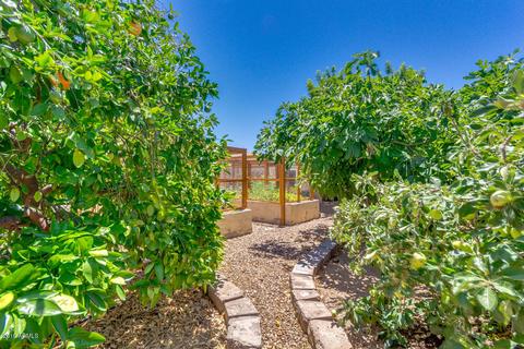 8132 E Kramer St, Mesa, AZ 85207 photo 48