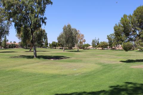 6206 E Ivy St, Mesa, AZ 85205 photo 29