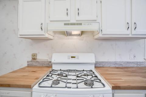 7906 E Jan Ave, Mesa, AZ 85209 photo 15