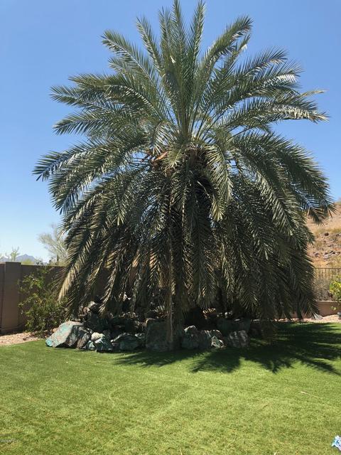 410 E Mountain Sky Ave, Phoenix, AZ 85048 photo 35