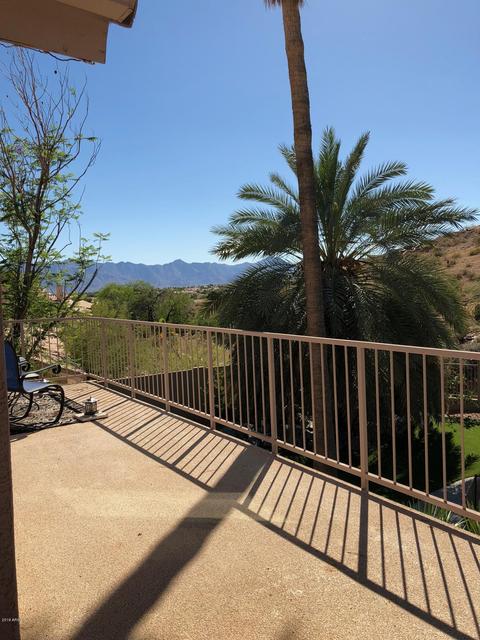 410 E Mountain Sky Ave, Phoenix, AZ 85048 photo 18