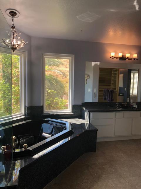 410 E Mountain Sky Ave, Phoenix, AZ 85048 photo 13