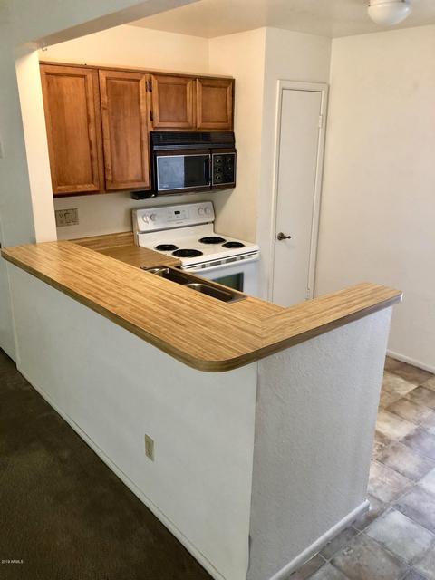 30 E Brown Rd #1102, Mesa, AZ 85201 photo 4