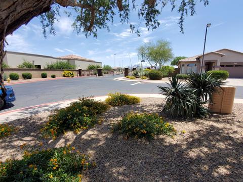9861 E Fairview Ave, Mesa, AZ 85208 photo 45