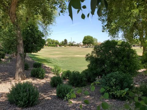 3704 E Red Oak Ln, Gilbert, AZ 85297 photo 3
