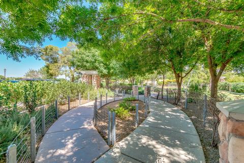 2722 E Tamarisk St, Gilbert, AZ 85296 photo 60