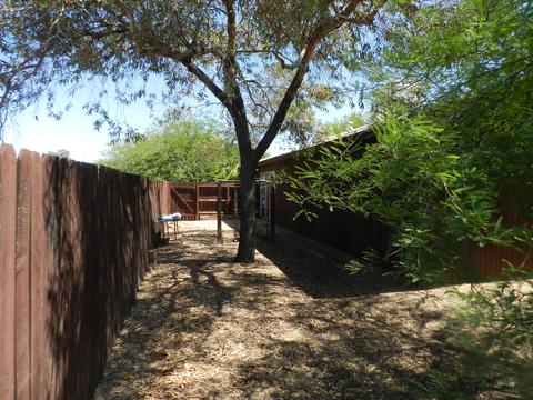 1935 E Libby St, Phoenix, AZ 85022 photo 6