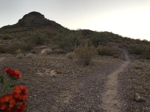 2034 E Karen Dr, Phoenix, AZ 85022 photo 60