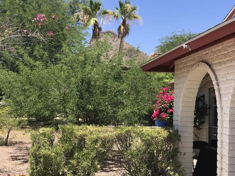 2034 E Karen Dr, Phoenix, AZ 85022 photo 10