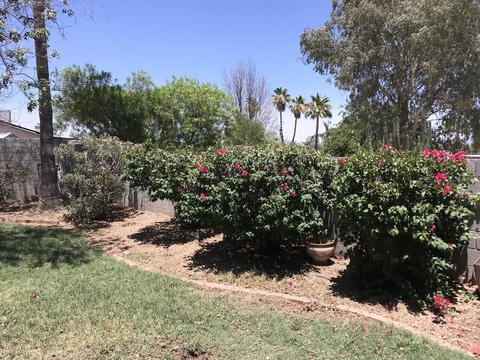 2034 E Karen Dr, Phoenix, AZ 85022 photo 57