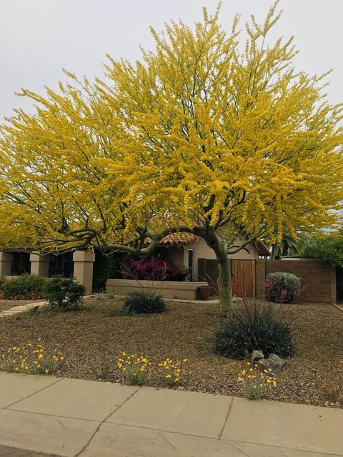 1162 E Louis Way, Tempe, AZ 85284 photo 31