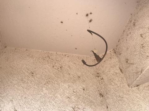 8018 E Fox St, Mesa, AZ 85207 photo 21