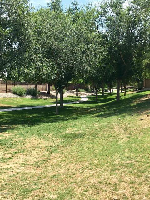 2816 E Dunbar Dr, Phoenix, AZ 85042 photo 31