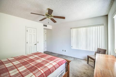 1530 E County Down Dr, Chandler, AZ 85249 photo 20