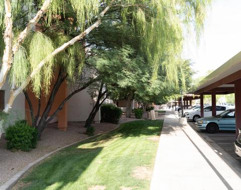 1005 E 8th St #2004, Tempe, AZ 85281 photo 1