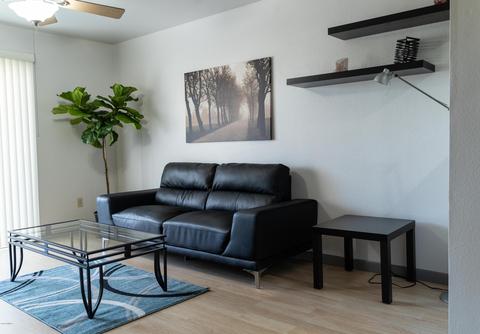 1005 E 8th St #2004, Tempe, AZ 85281 photo 9
