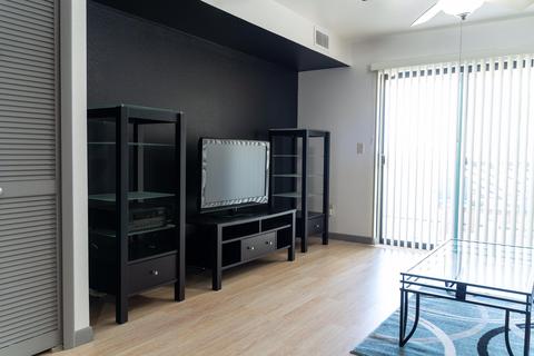 1005 E 8th St #2004, Tempe, AZ 85281 photo 8