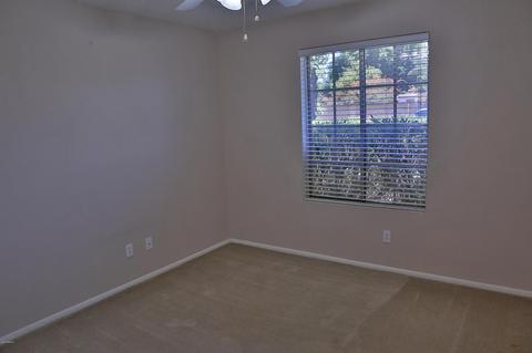 6520 Elmwood St, Mesa, AZ 85205 photo 13
