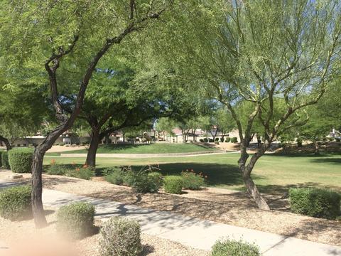 3306 W Dynamite Blvd, Phoenix, AZ 85083 photo 20