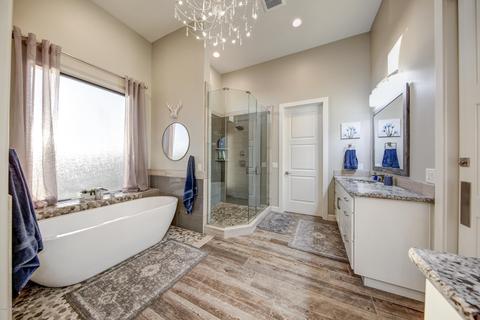 2438 N 90th St, Mesa, AZ 85207 photo 60