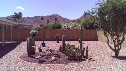 4254 E Yawepe St, Phoenix, AZ 85044 photo 26