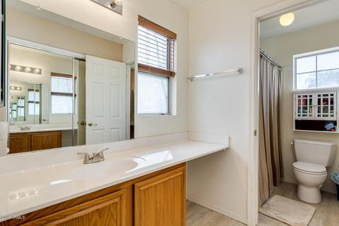 4521 E Mountain Sky Ave, Phoenix, AZ 85044 photo 44