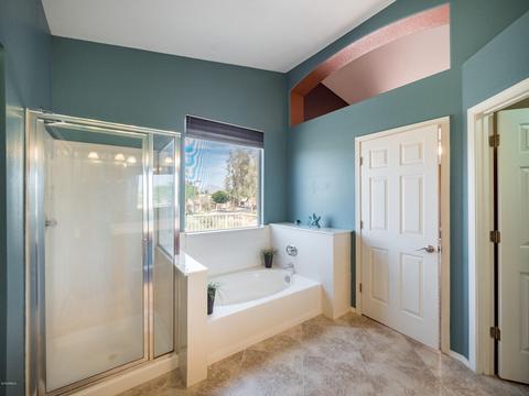 9858 E Irwin Cir, Mesa, AZ 85209 photo 34