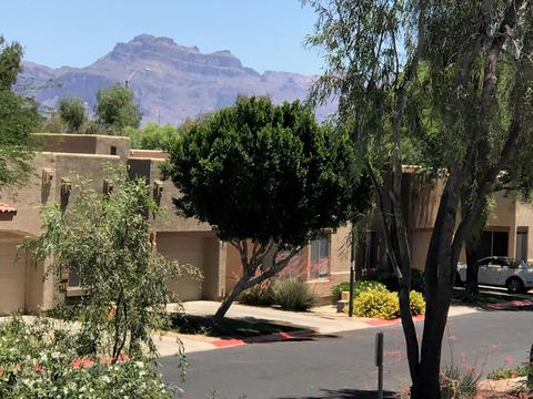 9858 E Irwin Cir, Mesa, AZ 85209 photo 37