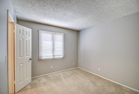 445 E Susan Ln, Tempe, AZ 85288 photo 35