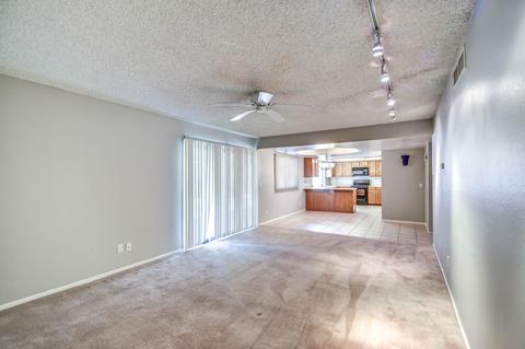 445 E Susan Ln, Tempe, AZ 85288 photo 16