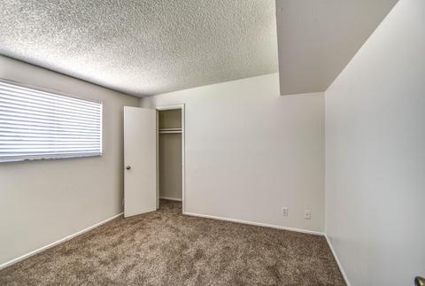 147 E Ivy St, Mesa, AZ 85201 photo 19