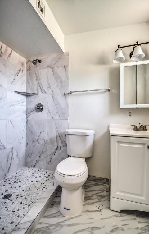 147 E Ivy St, Mesa, AZ 85201 photo 23