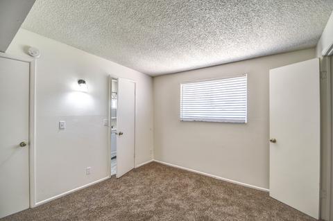 147 E Ivy St, Mesa, AZ 85201 photo 20