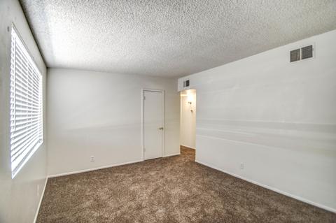 147 E Ivy St, Mesa, AZ 85201 photo 10